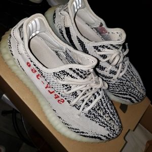 COPY - Yeezy Zebras